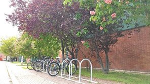 Bicycle parking spaces