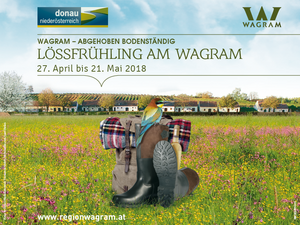 Announcement poster Lössfruehling am Wagram