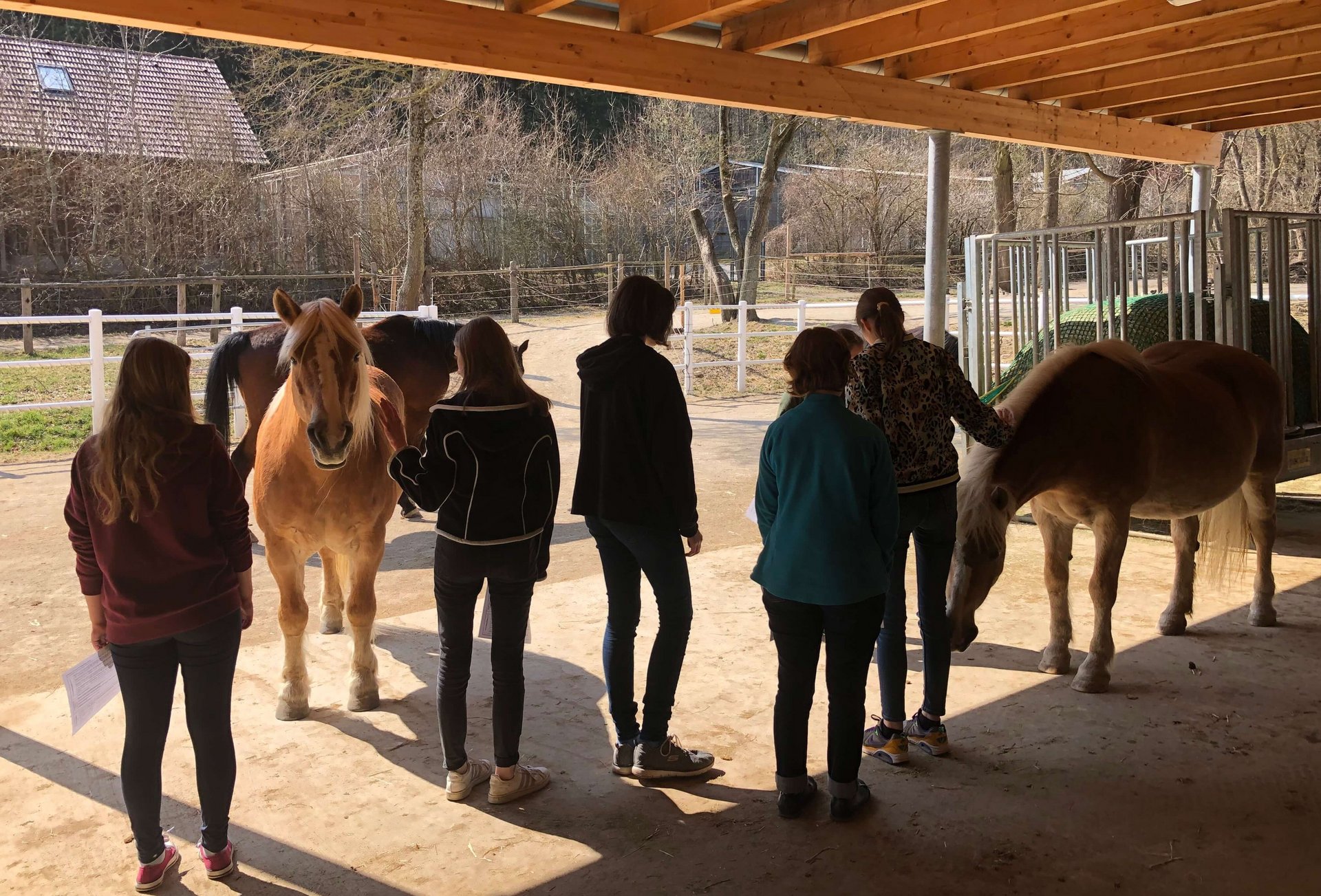 Jungforscherinnen beim Workshop zur Pferdegesundheit