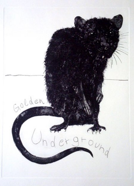 Drawing of a rat by Roland Maurmair