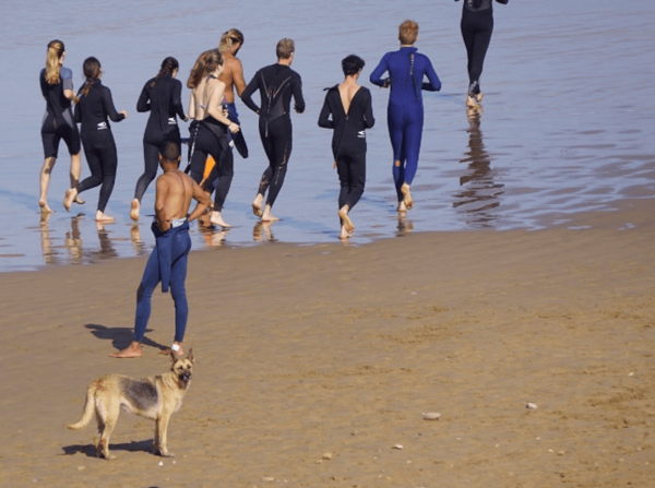 Hund am Strand vor Joggern/Dog on the beach with Joggers - Photo Giulia Cimarelli
