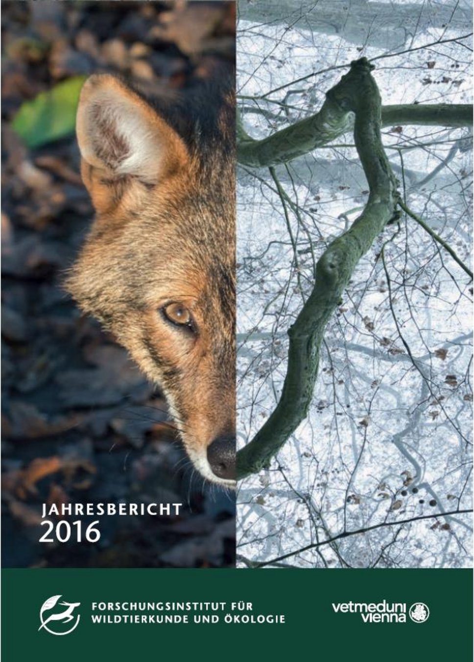 Jahresbericht 2016