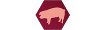 Logo Klinik für Schweine | Department für Nutztiere und öffentliches Gesundheitswesen in der Veterinärmedizin (Universitätsklinik)