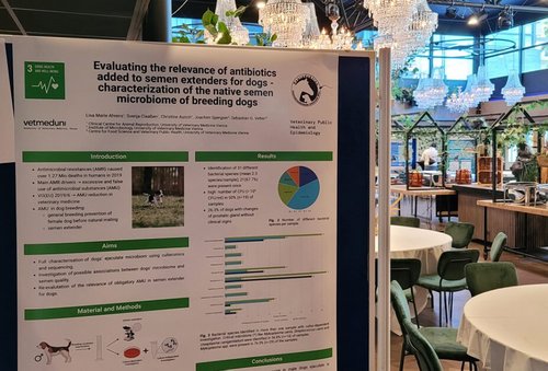 Poster One Health Event in Wageningen, Foto: Lisa Marie Ahrens