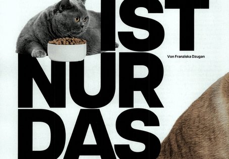 Screenshot Profil Artikel, graue Katze vor voller Futterschüssel, Text: Das ist nur das Fell