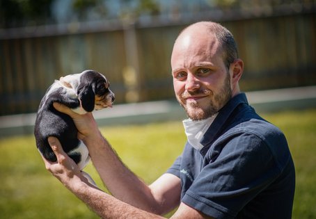 Johannes Herbel ist nun Diplomate im Fach Reproduktionsmedizin. Foto: Thomas Suchanek/Vetmeduni