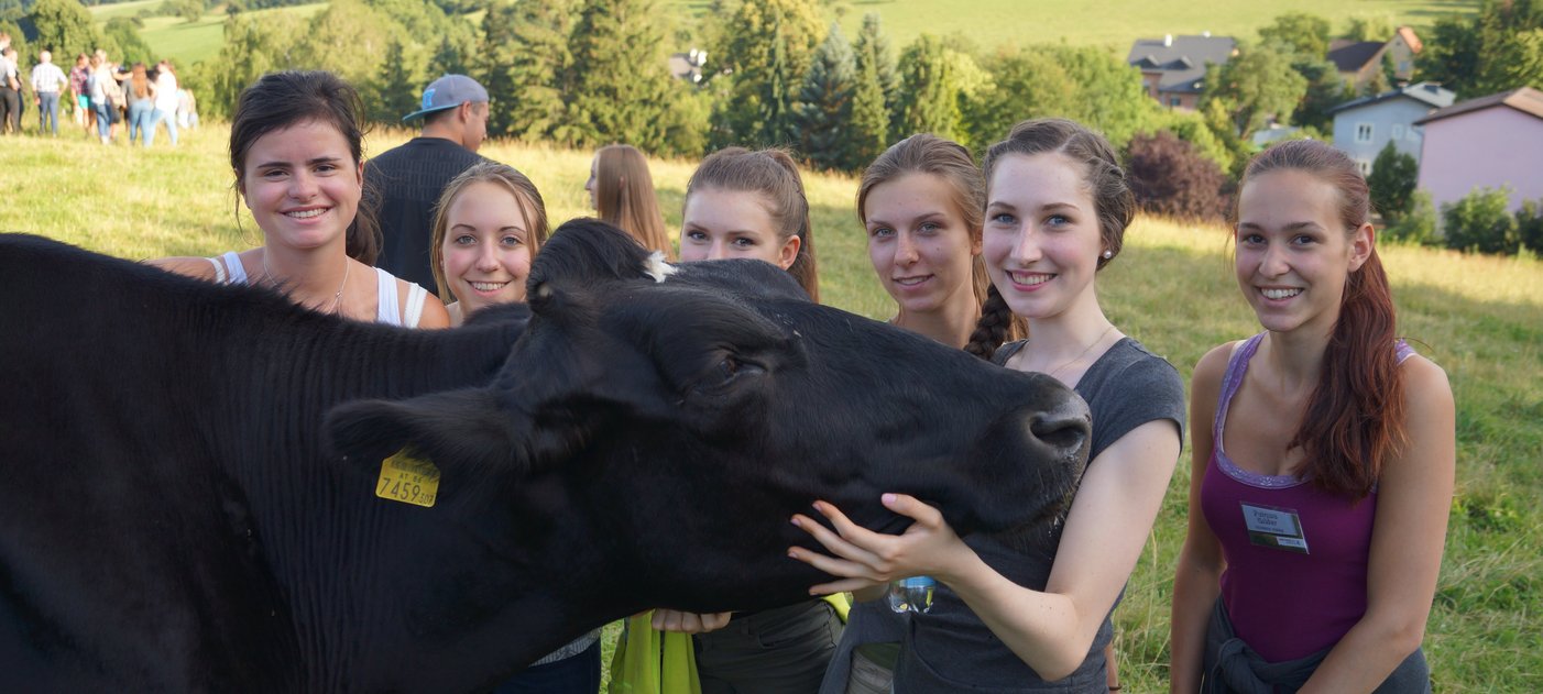 Rind mit science camper 