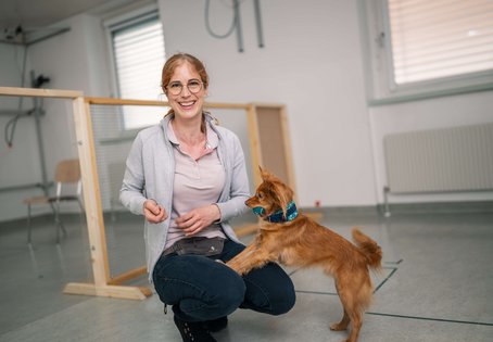Wie man tierische Emotionen besser verstehen kann, erforscht STEFANIE RIEMER, Assistenzprofessorin für Companion Animal Management am Messerli Forschungsinstitut der Vetmeduni.