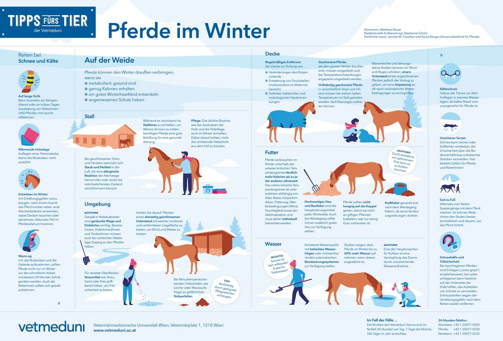 Tipps fürs Tier "Pferde im Winter", Illustration: Matthias Moser/Vetmeduni