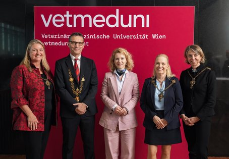 Feierliche Angelobung des neuen Rektorats an der Vetmeduni: (v.l.n.r.) Martina Marchetti-Deschmann, Matthias Gauly, BM Eva-Maria Holzleitner, Barbara Bockstahler und Birgit Hochenegger-Stoirer