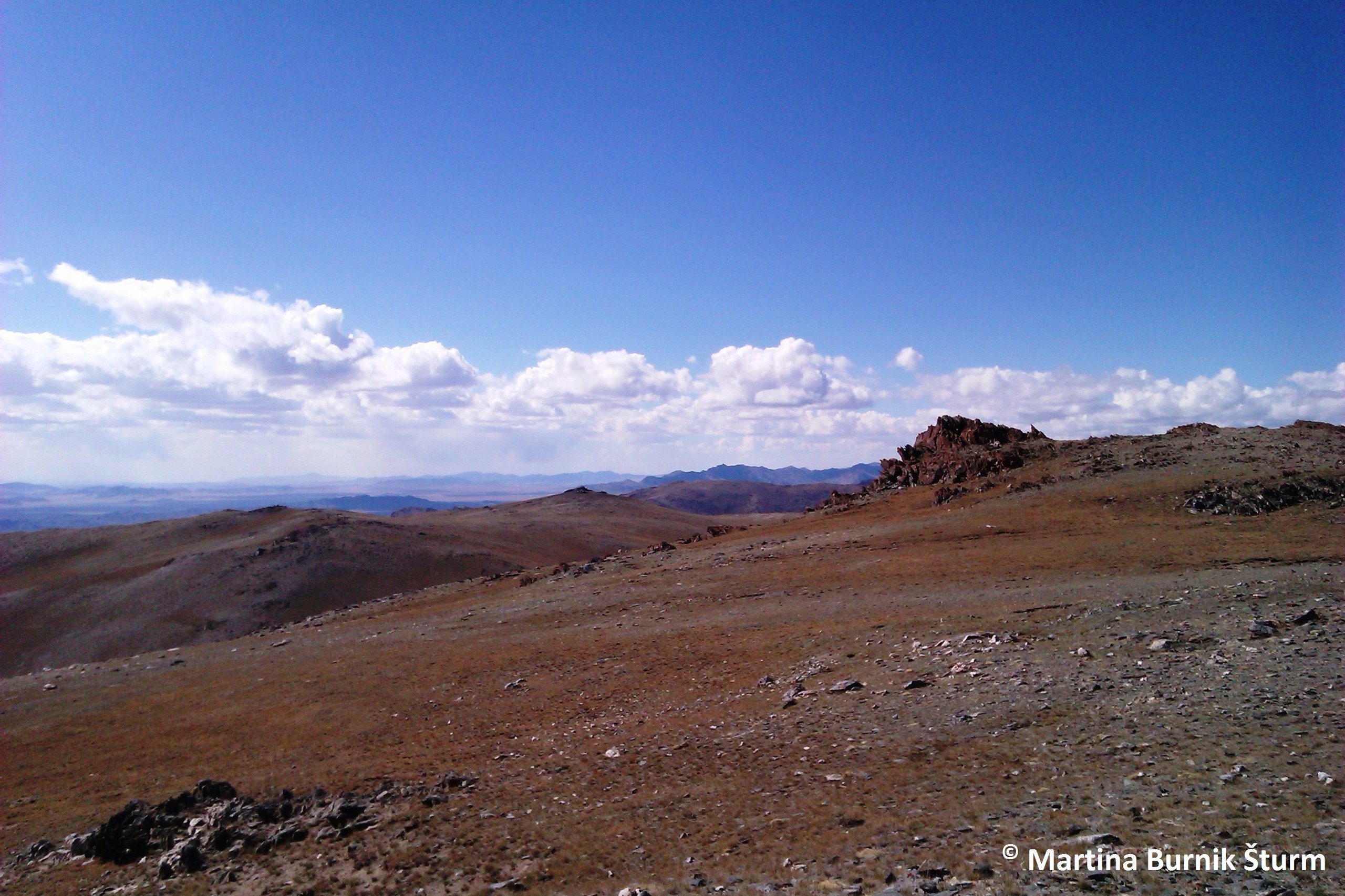 Photo of high mountain Artemisia sp. steppe