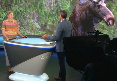 Screenshot ORF Beitrag, 2 Personen im TV-Studio, dahinter ein Foto von einem Elch