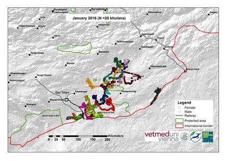 Karte von Khulan Bewegungen Januar 2016