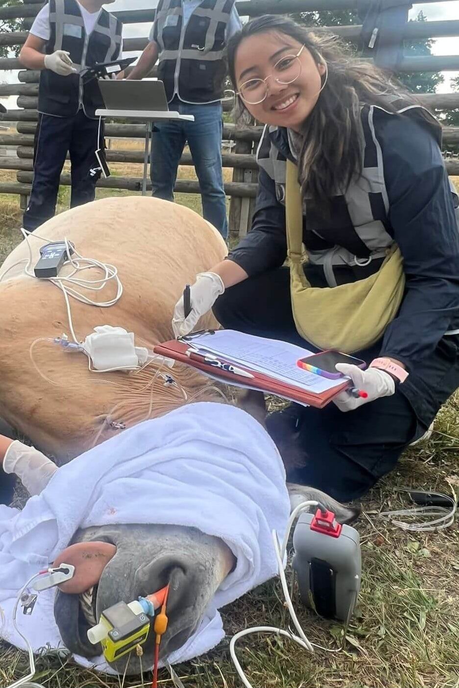 Porträt von Hathaipat_Rattanathanya mit einem sedierten Pferd/Portrait of Hathaipat_Rattanathanya with a sedated horse