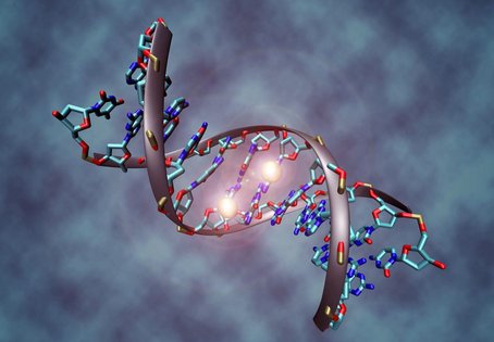 Methylierte DNA, Grafik: Christoph Bock/CeMM