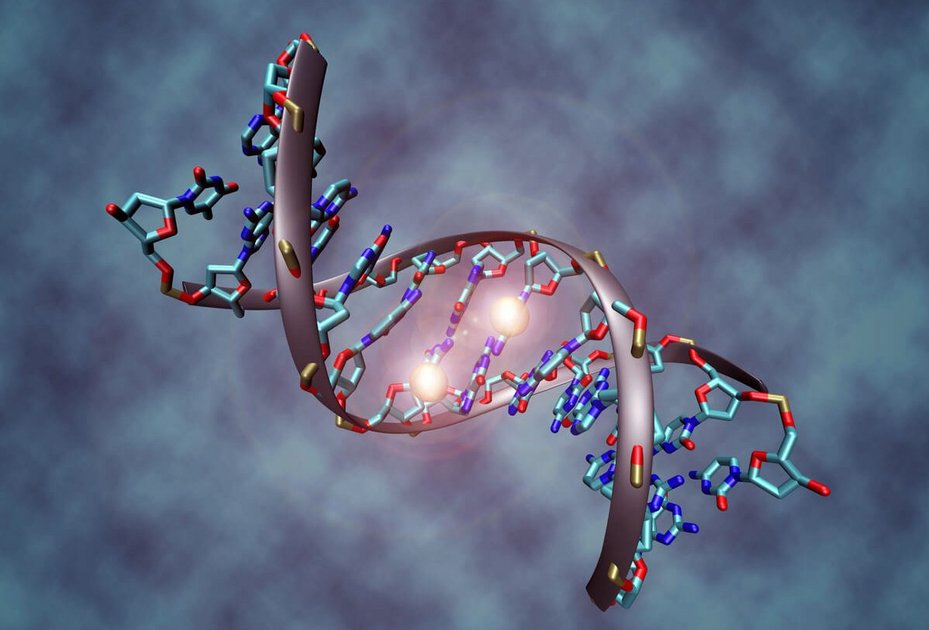 Methylierte DNA, Grafik: Christoph Bock/CeMM Methylierte DNA, Grafik: Christoph Bock/CeMM