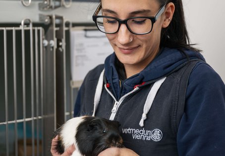 Das Pflegepersonal kümmert sich um das Wohlergehen der Tiere - Streicheleinheiten inklusive.