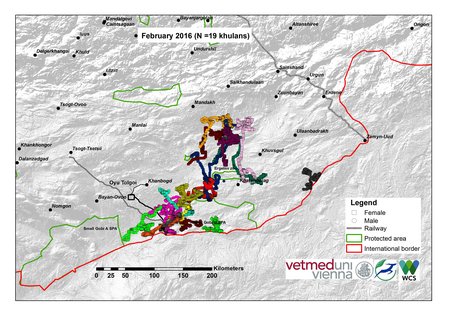 Karte von Khulan Bewegungen Februar 2016