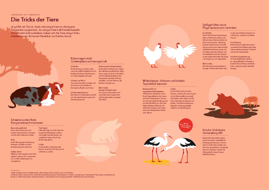 Grafik: Matthias Moser, Redaktionelle Aufbereitung: Patrick Müller (Vetmeduni) und Astrid Kuffner