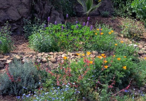 Blumenbeet, Steingarten
