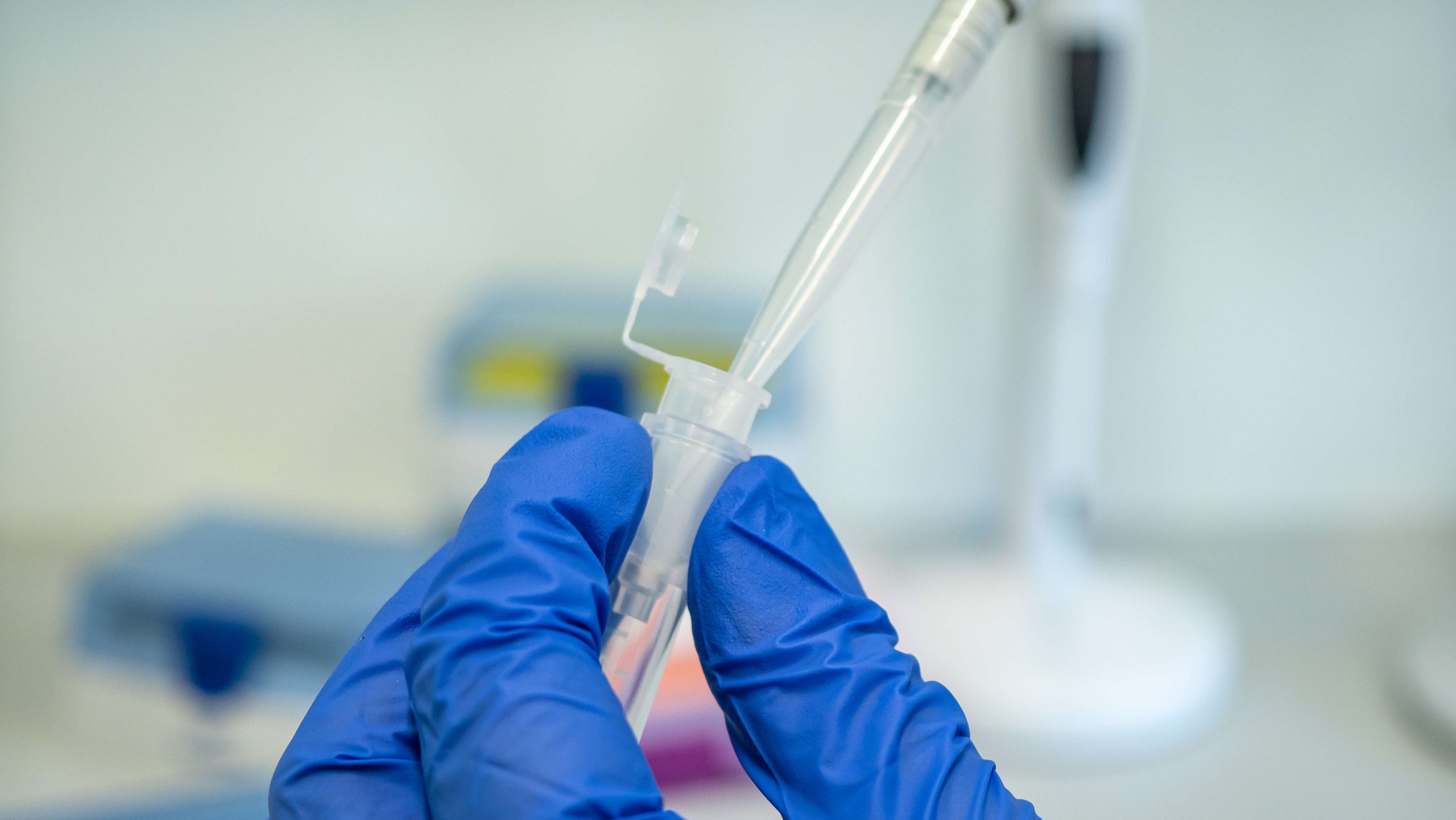 Foto: Michael Bernkopf/Vetmeduni