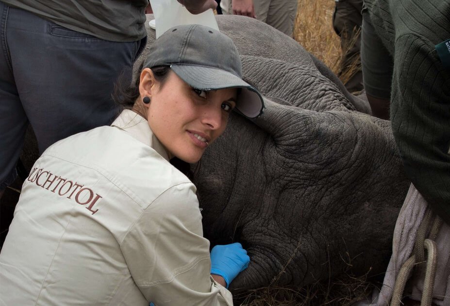 Friederike Pohlin mit Nashorn