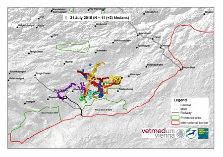 Map of wild ass movements in July 2015