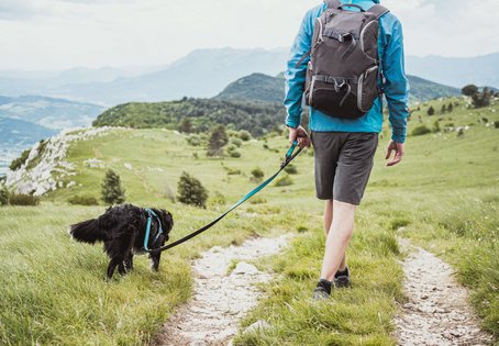 Person geht mit Hund an der Leine wandern