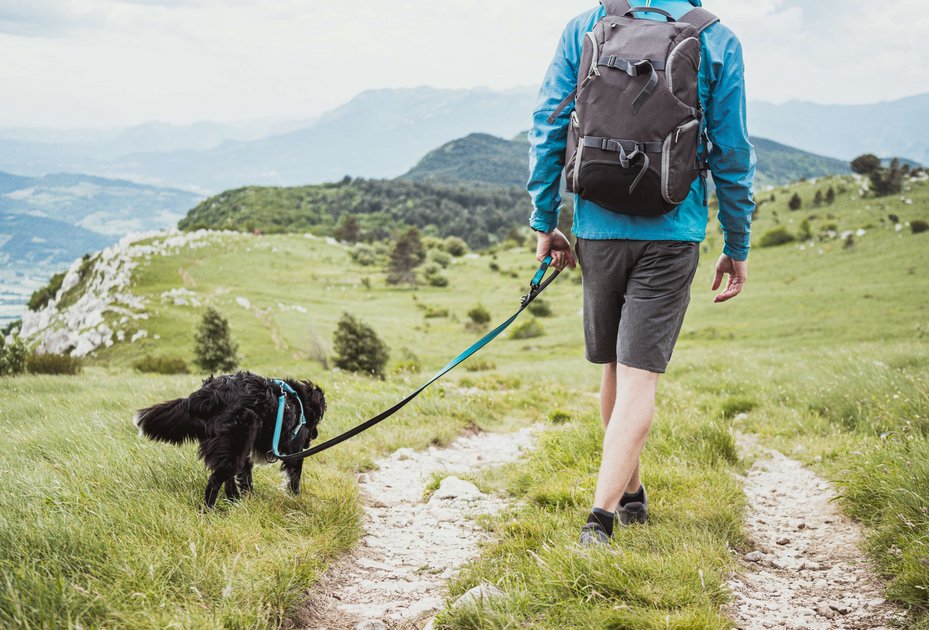 Person geht mit Hund an der Leine wandern