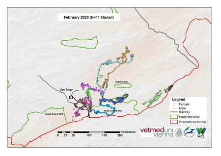 [Translate to English:] Karte von Kulan Bewegungen im Februar 2020