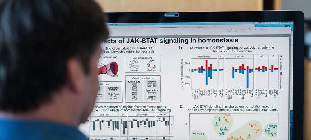 Foto: Thomas Suchanek/Vetmeduni