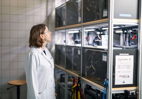 Assistenzprofessorin Gema Alama-Bermejo am Klinischen Zentrum für Populationsmedizin bei Fisch, Schwein und Geflügel an der Vetmeduni 