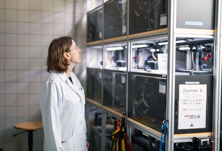 Assistenzprofessorin Gema Alama-Bermejo am Klinischen Zentrum für Populationsmedizin bei Fisch, Schwein und Geflügel an der Vetmeduni