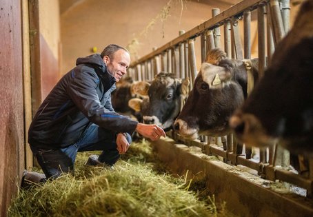 Lorenz Khol mag die Ruhe und Kraft von Rindern. Weil sie so duldsame Wesen sind, ist für Veterinär:innen eine genaue Beobachtungsgabe gefragt. Im Fall des Falles könnte er das Braunvieh auch melken.