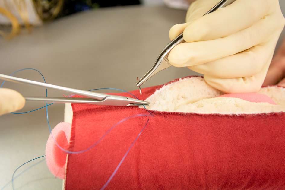 Im Skills Lab VetSim trainieren Studierende an Tiermodellen verschiedener Spezies aus Kunststoff und erweitern so ihre praktischen Fertigkeiten. Foto &copy; Stephanie Scholz/Vetmeduni Vienna