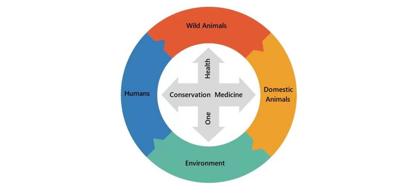 Kreislauf Conservation Medicine and One Health