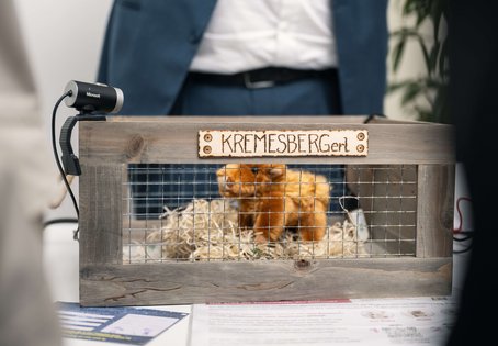 Lange Nacht der Forschung 2024, HOLSTEIN Stand, Heldenplatz 1010