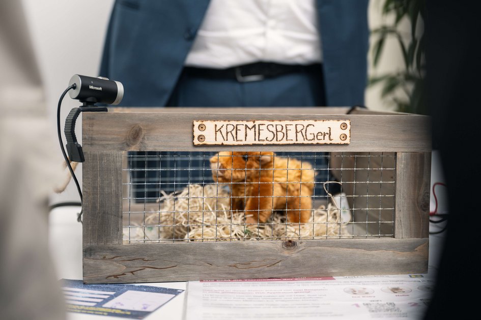 Lange Nacht der Forschung 2024, HOLSTEIN Stand, Heldenplatz 1010