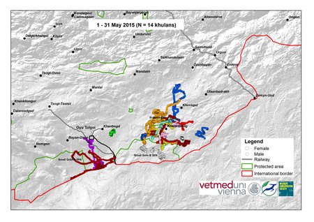 Map of wild ass movements in May 2015