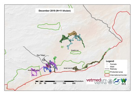 [Translate to English:] Karte von Kulan Bewegungen im Dezember 2019