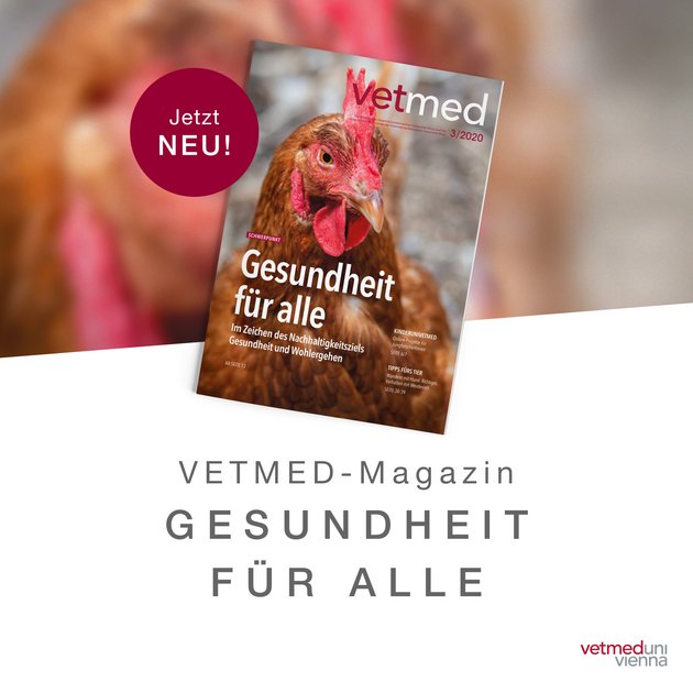 VETMED Magazin: Ausgabe 03/2020