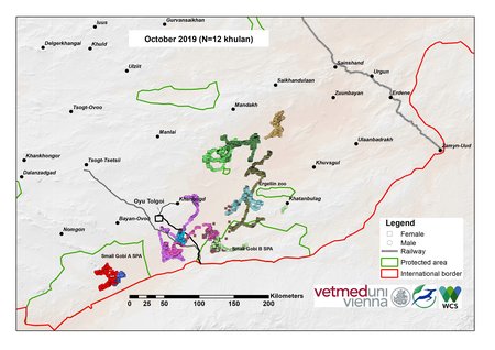 map of khulan movements in October 2019