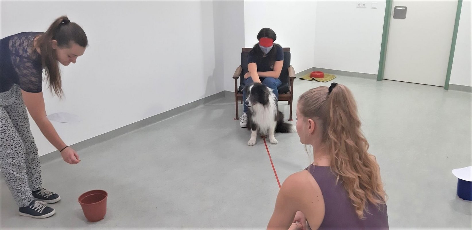 In der Bildmitte sitzt eine Person mit Augenbinde und hält einen Hund. Der Hund beobachtet, wie links im Bild eine andere Person einen Becher befüllt. Rechts im Bild steht eine weitere Person und schaut dem Geschehen aufmerksam zu.