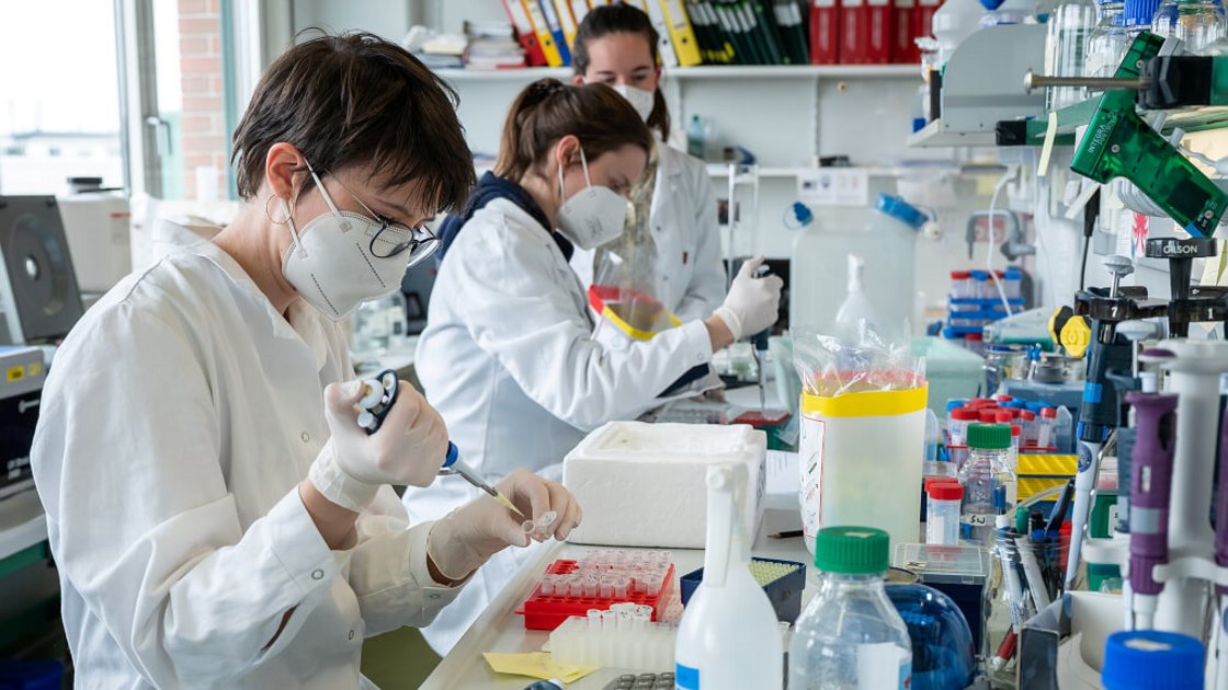 Foto: Michael Bernkopf/Vetmeduni