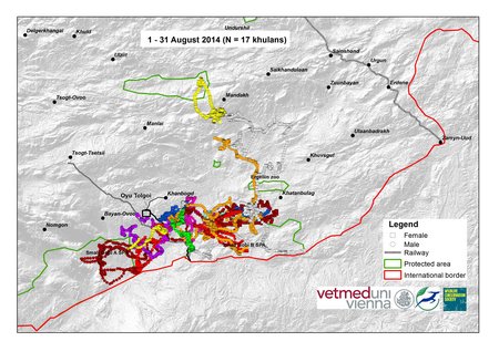 Map of wild ass movements in August 2014