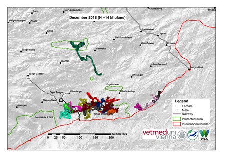 Map of khulan movements in December 2016