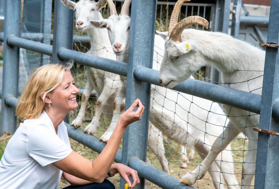 Das Tierwohl hat die Fachtierärztin für Mikrobiologie und Fleischhygiene immer im Blick, ob auf der Weide, im Stall, im Schlachthof oder im Labor. Foto: M. Bernkopf/Vetmeduni 