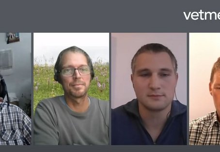 Die Experten des VetmedTalk #7 (v.l.): Remigius Chizzola, Thomas Ellmauer, Thomas Hartinger und Andreas Klingler. 