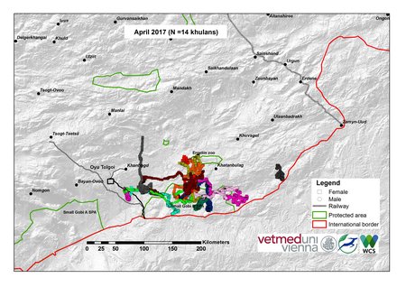 Map of khulan movements in April 2017