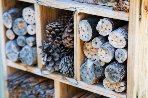 Insektenhotel